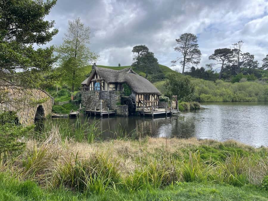 From Auckland: Hobbiton Movie Set and Waitomo Caves Tour - Who should book this tour