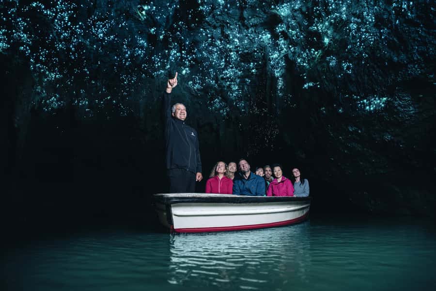 From Auckland: Hobbiton Movie Set and Waitomo Caves Tour - The road from Auckland through Waikato