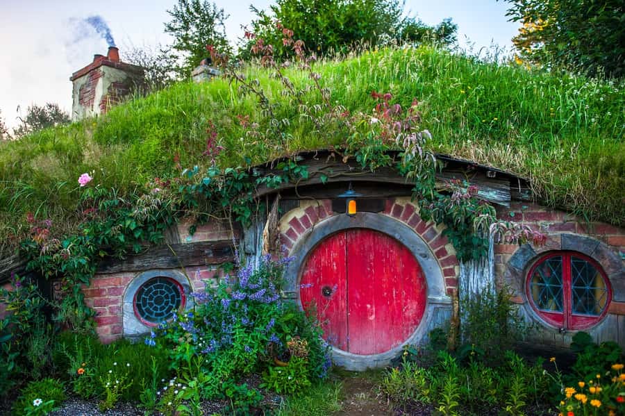 From Auckland: Hobbiton Movie Set Full-Day Small-Group Trip - Who will enjoy this day trip most