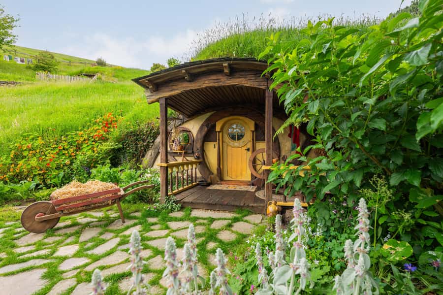 From Auckland: Hobbiton Movie Set Full-Day Trip - The long road from Auckland to the Shire