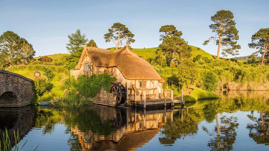 From Auckland: Hobbiton Movie Set Full-Day Trip - The ride back to Auckland