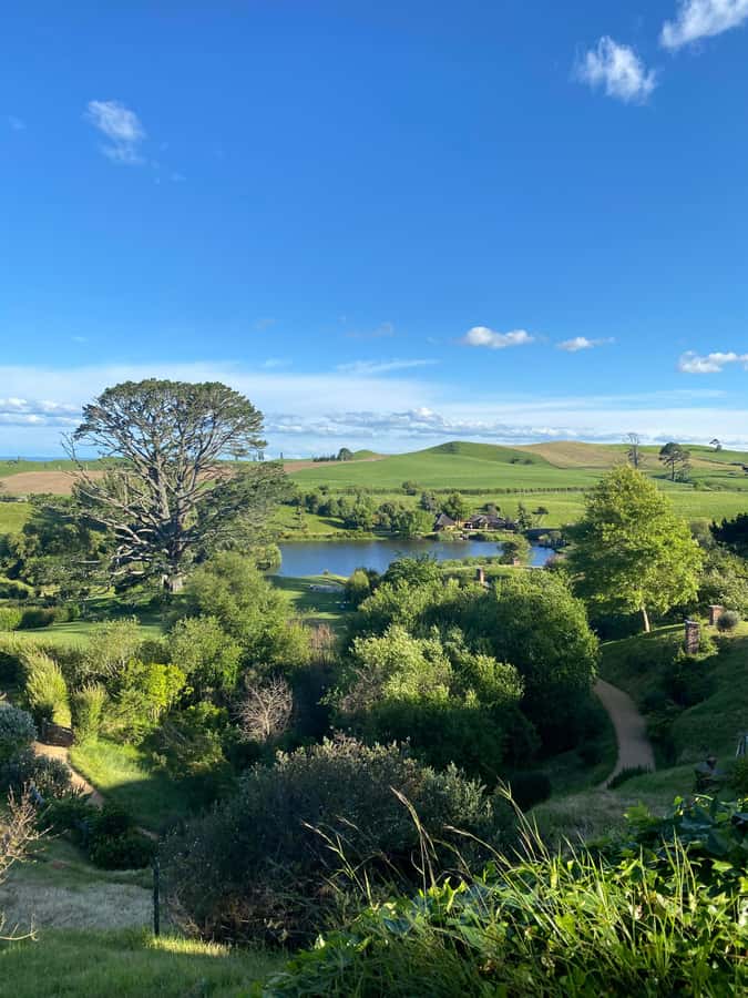 From Auckland: Hobbiton Movie Set - Private Tour - Should you book this private Hobbiton tour?