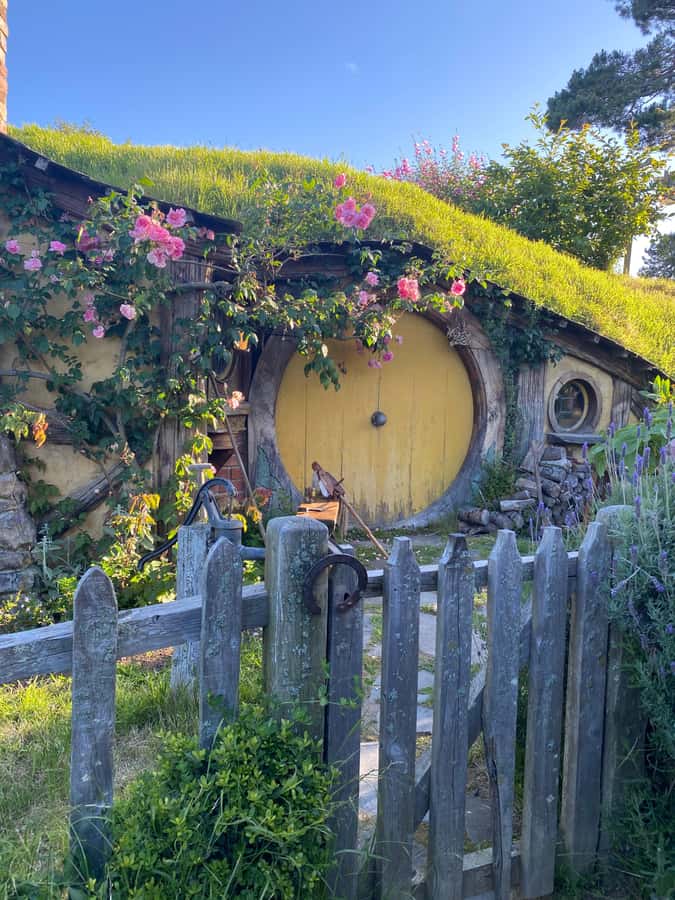 From Auckland: Hobbiton Movie Set - Private Tour - A quiet start at Shire’s Rest