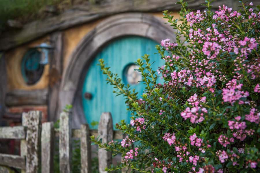 From Auckland: Hobbiton Movie Set Trip with Guided Tour - Who will enjoy this most?