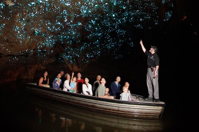 From Auckland:Hobbiton Movie Set & Waitomo Caves Small Group Tour - Leaving Auckland for the Waikato