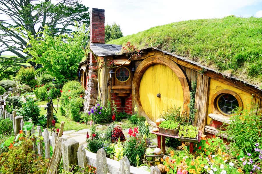 From Auckland: Hobbiton & Rotorua Tour with Lunch at Te Puia - Two very different New Zealand attractions in one day