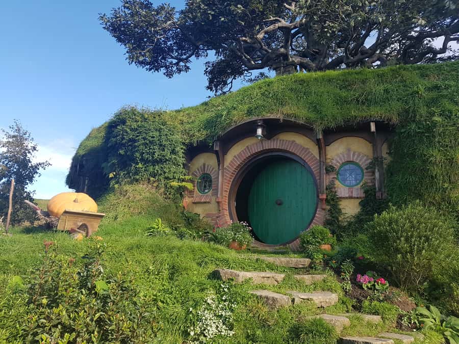 From Auckland: Hobbiton & Rotorua Tour with Lunch at Te Puia - The Waikato and Bay of Plenty road journey