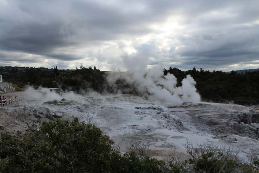 From Auckland: Hobbiton & Rotorua Tour with Lunch at Te Puia - Walking into Hobbiton
