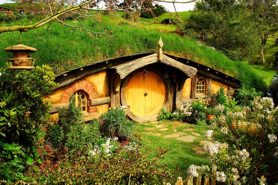 From Auckland: Hobbiton & Rotorua Tour with Lunch at Te Puia - Te Puia: geysers, mud, and Māori arts