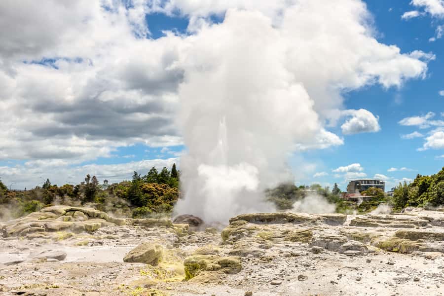 From Auckland: Hobbiton & Rotorua Tour with Lunch at Te Puia - Buffet lunch with geothermal views