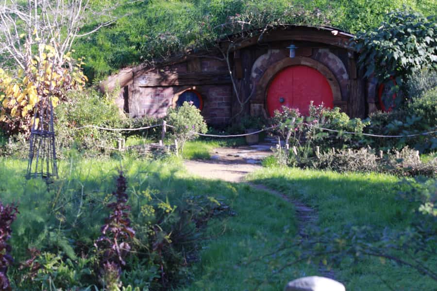 From Auckland: Hobbiton & Rotorua Tour with Lunch at Te Puia - Returning to Auckland or staying in Rotorua