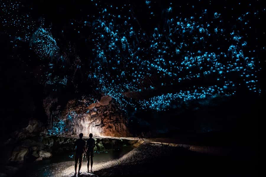 From Auckland or Rotorua: Hobbiton & Waitomo Tour with Lunch - Key points to know before booking