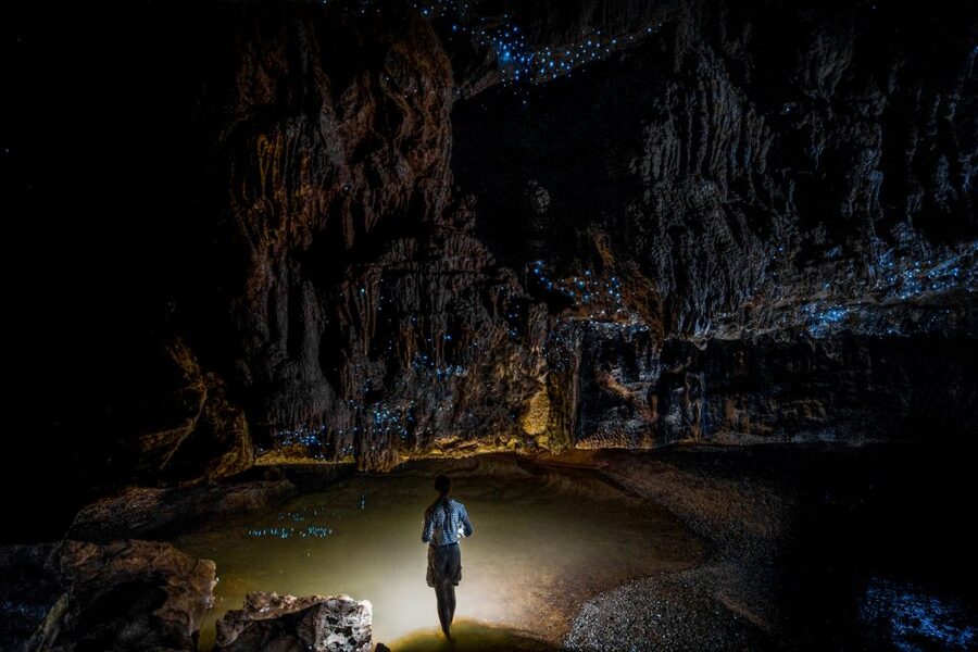 From Auckland or Rotorua: Hobbiton & Waitomo Tour with Lunch - Who should book this day trip?