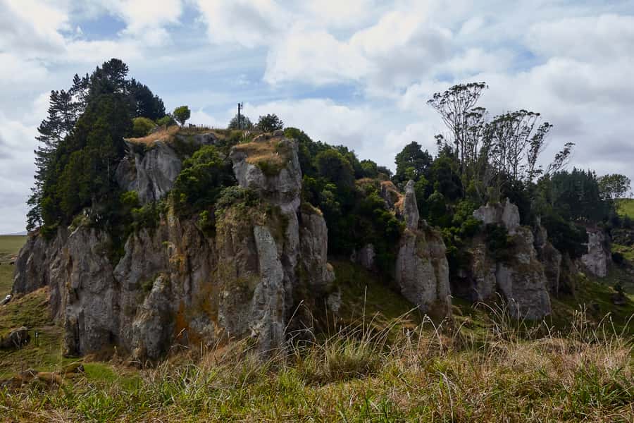 From Auckland or Rotorua: Hobbiton & Waitomo Tour with Lunch - Practical tips for a smoother day