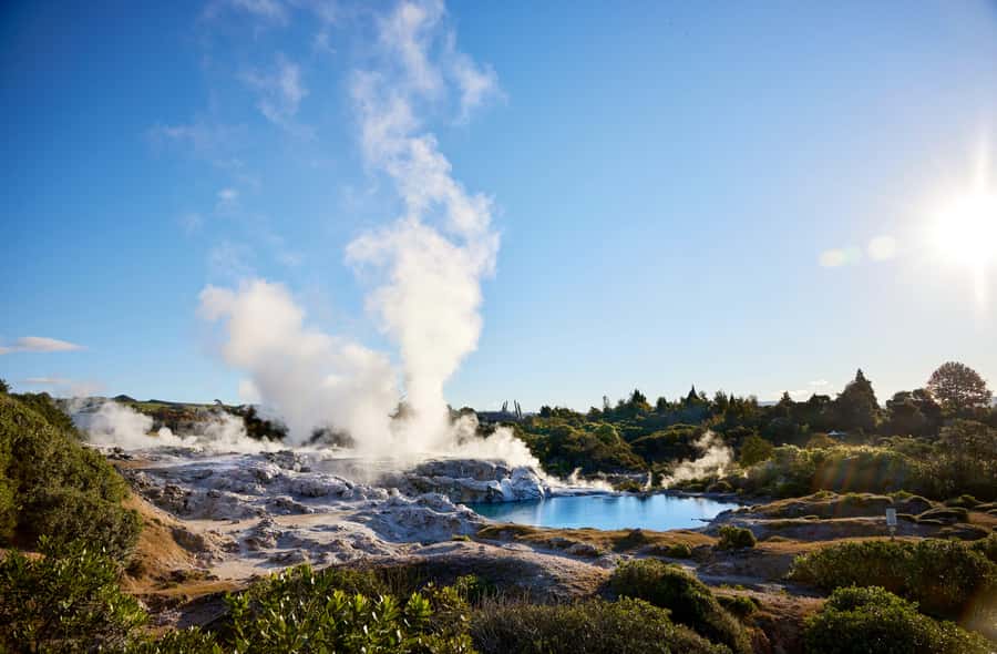 From Auckland: Rotorua Māori Village, Haka & Glowworm Caves - Songs, dances, and the haka