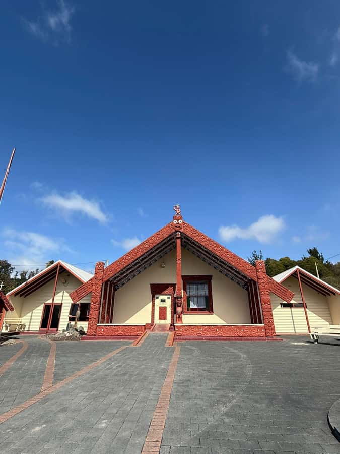 From Auckland: Rotorua Māori Village, Haka & Glowworm Caves - What makes the Māori visit worthwhile