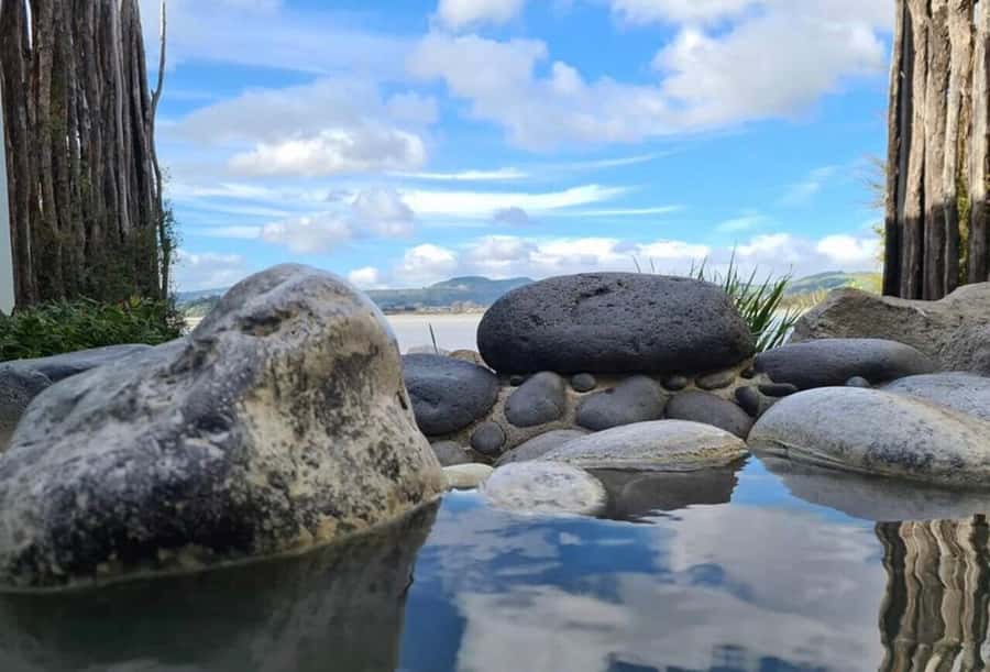 From Auckland: Rotorua Māori Village & Hot Springs with Haka - What $236 includes, and what it does not