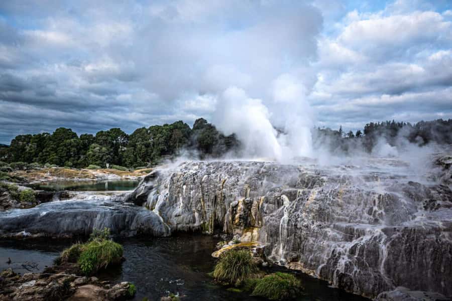 From Auckland: Rotorua Te Puia, Haka & Polynesian Spa Tour - Auckland to Rotorua: a long but useful day