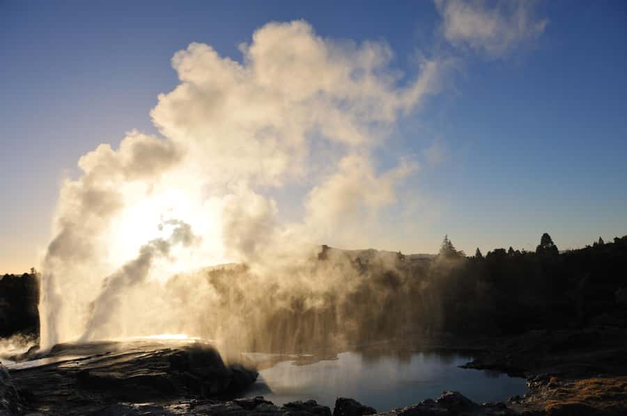 From Auckland: Rotorua Te Puia, Haka & Polynesian Spa Tour - Māori culture inside Te Aronui a Rua