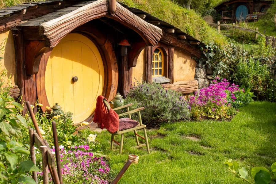 From: Auckland: Rotorua via Hobbiton Tour One Way Tour - What the Rotorua drop-off is really like