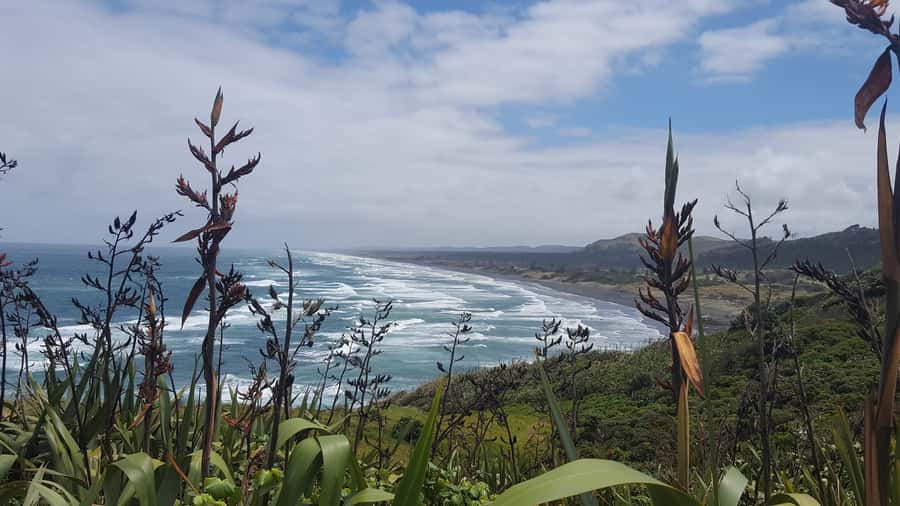 From Auckland: Small Group Kumeu Wine Tour with Lunch - What the $185 price really covers