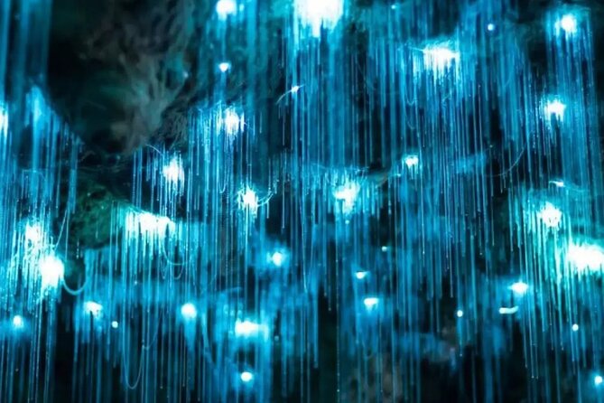 From Auckland: Spellbound, Waitomo Glowworm Cave Small Group Tour - The second cave, limestone, fossils, and cool air