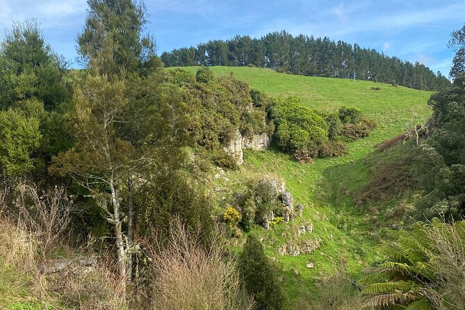 From Auckland: Spellbound, Waitomo Glowworm Cave Small Group Tour - The break between caves