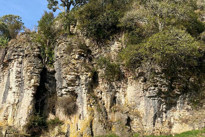 From Auckland: Spellbound, Waitomo Glowworm Cave Small Group Tour - The 7:45 a.m. Auckland pickup