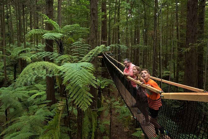 From Auckland to Rotorua Waiotapu and Activity Combinations - The Auckland to Rotorua ride takes most of the day