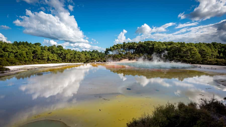 From Auckland: Wai-O-Tapu & Polynesian Spa Rotorua Day Tour - Leaving Auckland for Rotorua by van