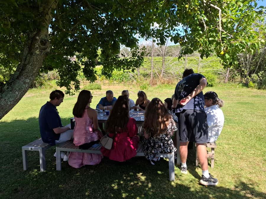 From Auckland: Waiheke Island Sip & Savour Tour with Lunch - Who will enjoy this Waiheke day trip