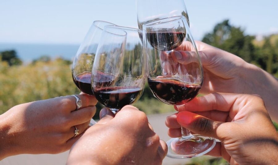 From Auckland: Waiheke Island Wine Cellar Tour - The third tasting and the final island views