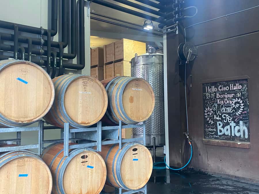 From Auckland: Waiheke Island Wineries' Tour - Lunch at your own pace and cost