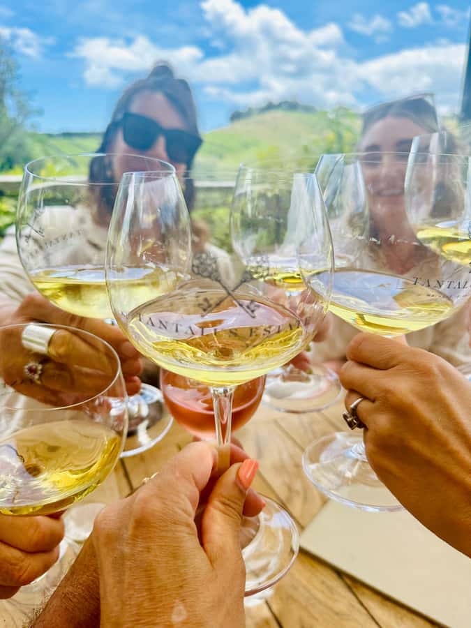 From Auckland: Waiheke Island Wineries' Tour - Starting with the Auckland to Waiheke ferry