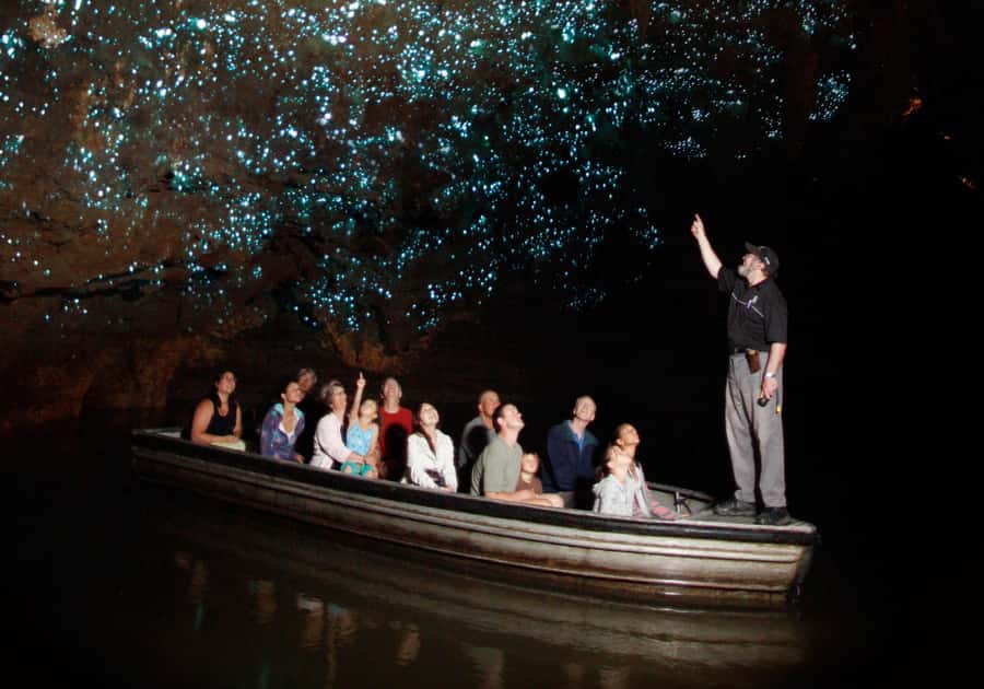 From Auckland: Waitomo Caves and Kiwi House Group Tour - Key points at a glance