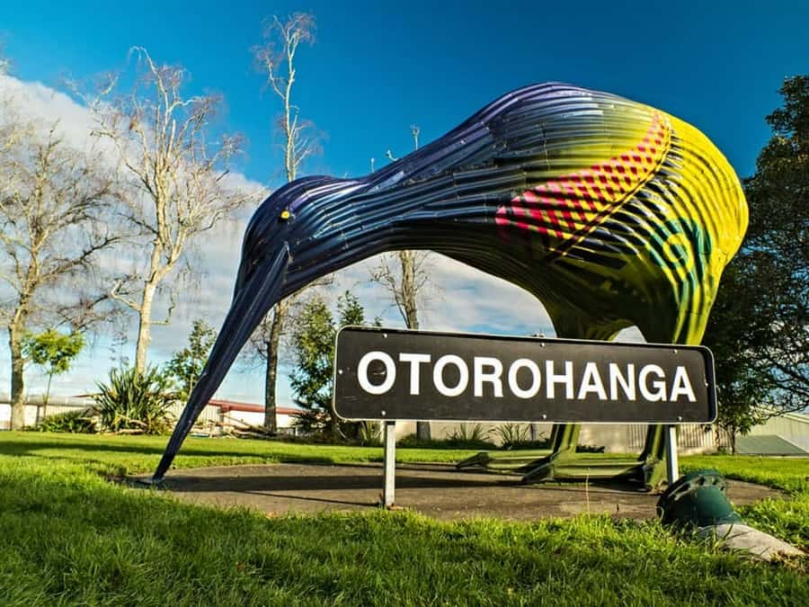 From Auckland: Waitomo Caves and Kiwi House Group Tour - What the $205 price includes