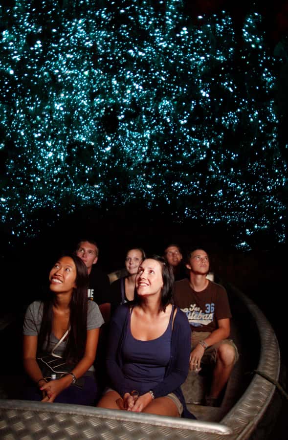 From Auckland: Waitomo Caves and Kiwi House Group Tour - Seeing glowworms at close range