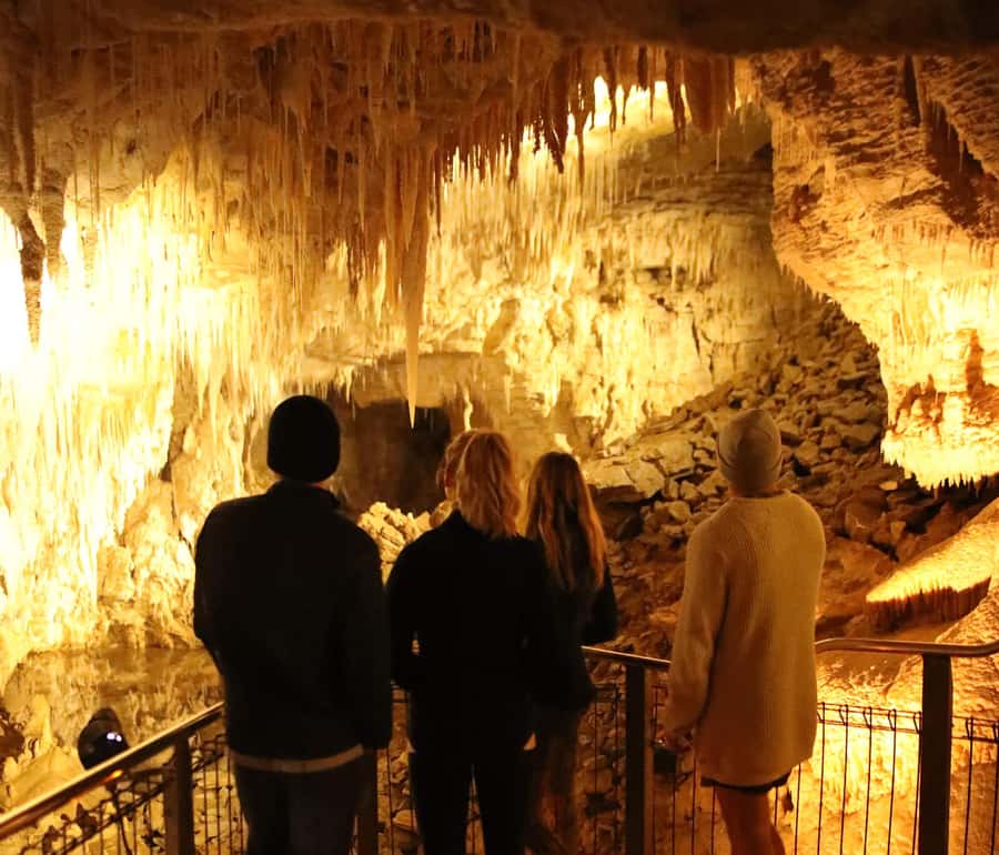 From Auckland: Waitomo Glow Worm Caves & Rotorua Tour - The long ride south shapes the whole day