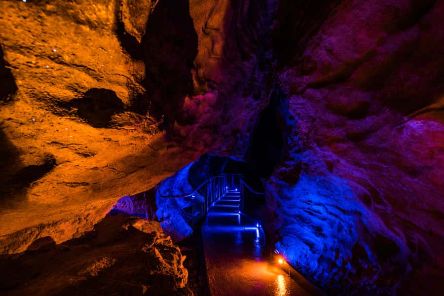 From Auckland: Waitomo Glowworm and Ruakuri Caves Day Tour - Why the Waitomo glowworm boat ride is worth the long day