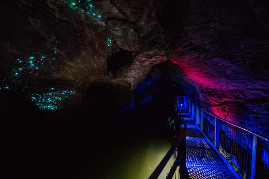 From Auckland: Waitomo Glowworm and Ruakuri Caves Day Tour - The cultural care behind Waitomo