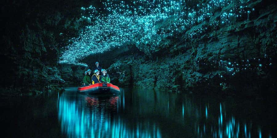 From Auckland: Waitomo Glowworm Cave Tour - First look at the Waitomo cave formations