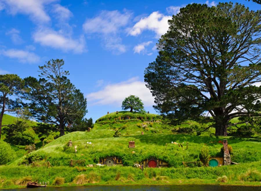 From Auckland: Waitomo & Hobbiton Bus Tour with Lunch - Key points at a glance