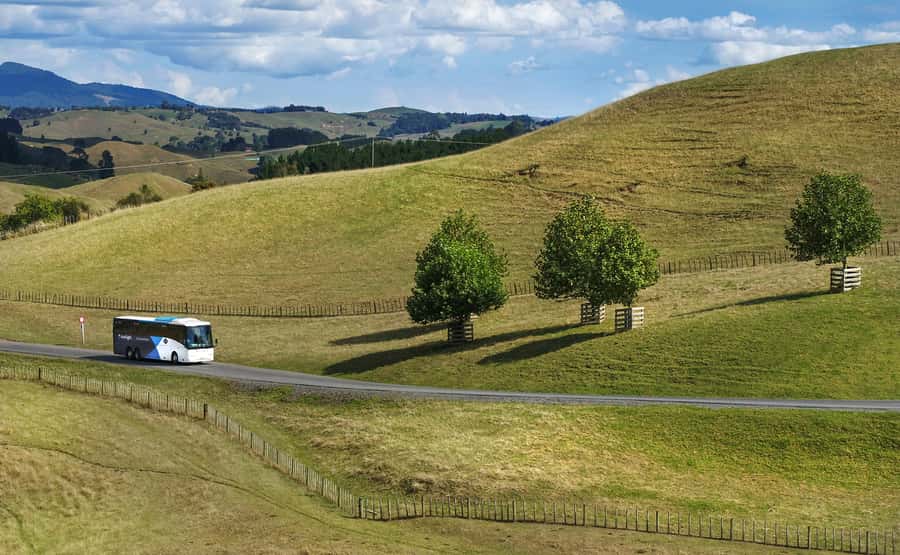 From Auckland: Waitomo & Hobbiton Bus Tour with Lunch - Coach service, guides, and group rhythm