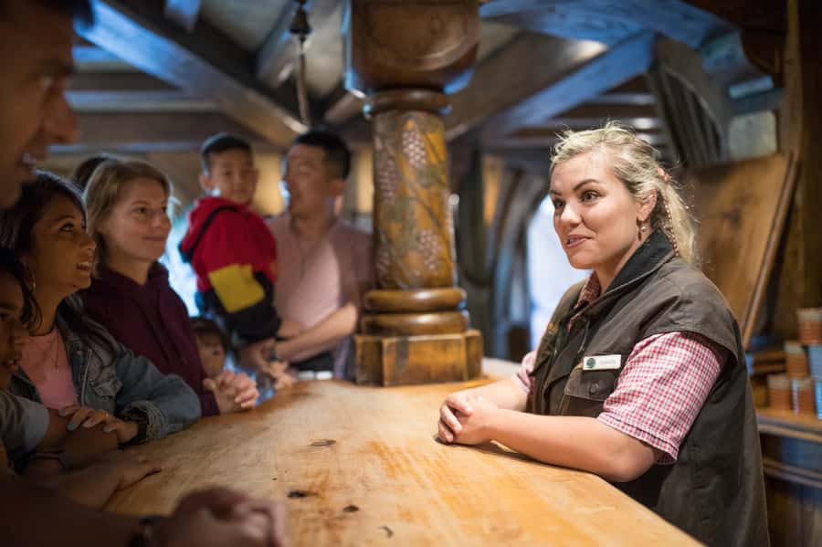 From Auckland: Waitomo & Hobbiton Bus Tour with Lunch - Who gets the best value from $261