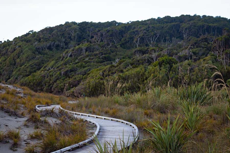 From Christchurch: 2 day tour to Queenstown via Franz Josef - Who should book this two-day route
