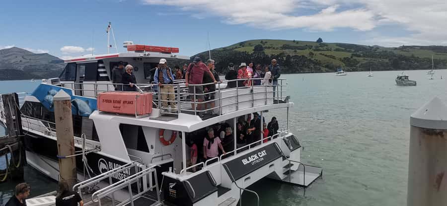 From Christchurch: Akaroa Day Tour with Optional Cruise - Lyttelton Harbour and the road toward Banks Peninsula