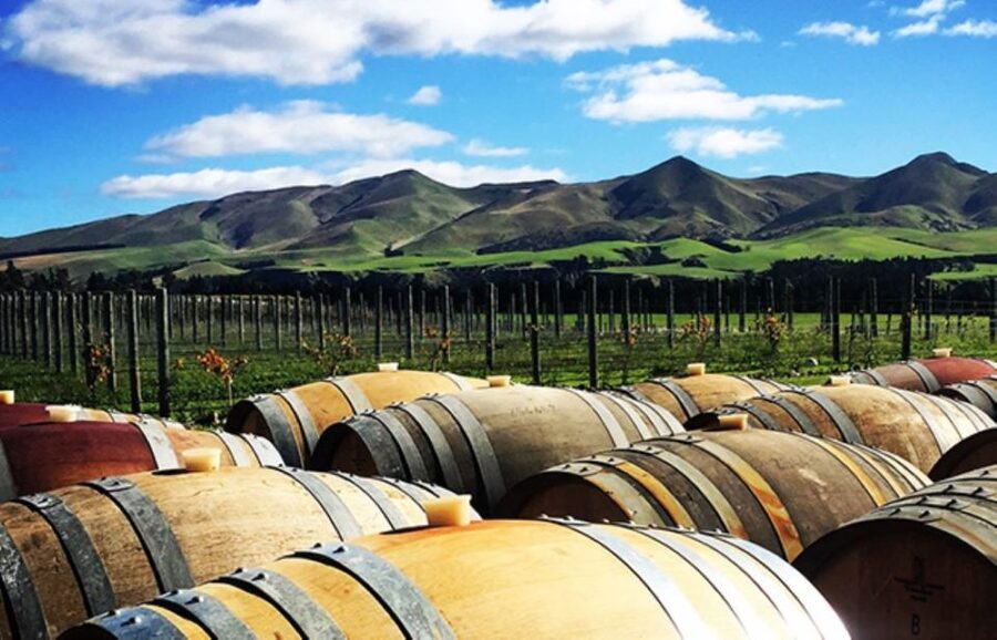 From Christchurch: Guided Local Wine Tours in Waipara - Practical details before you reserve