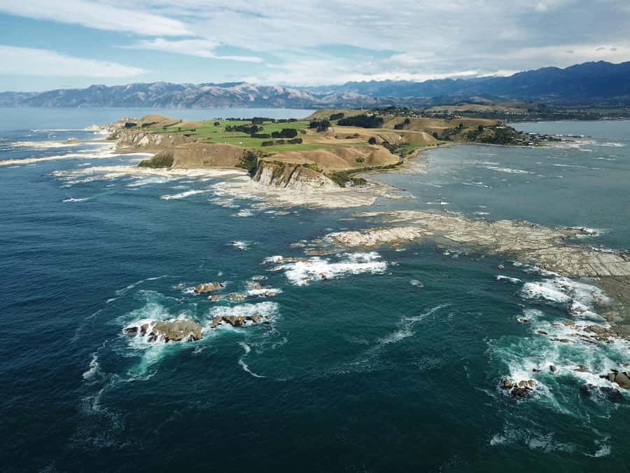 From Christchurch: Kaikōura Day Tour With Dolphin Encounter - Key points to know before booking