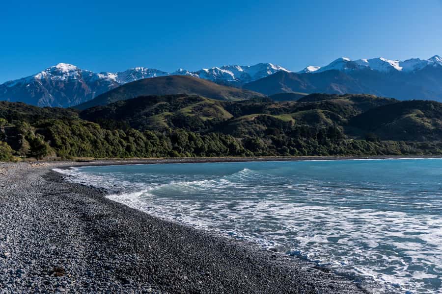 From Christchurch: Kaikōura Day Tour With Dolphin Encounter - A brief look around Kaikōura