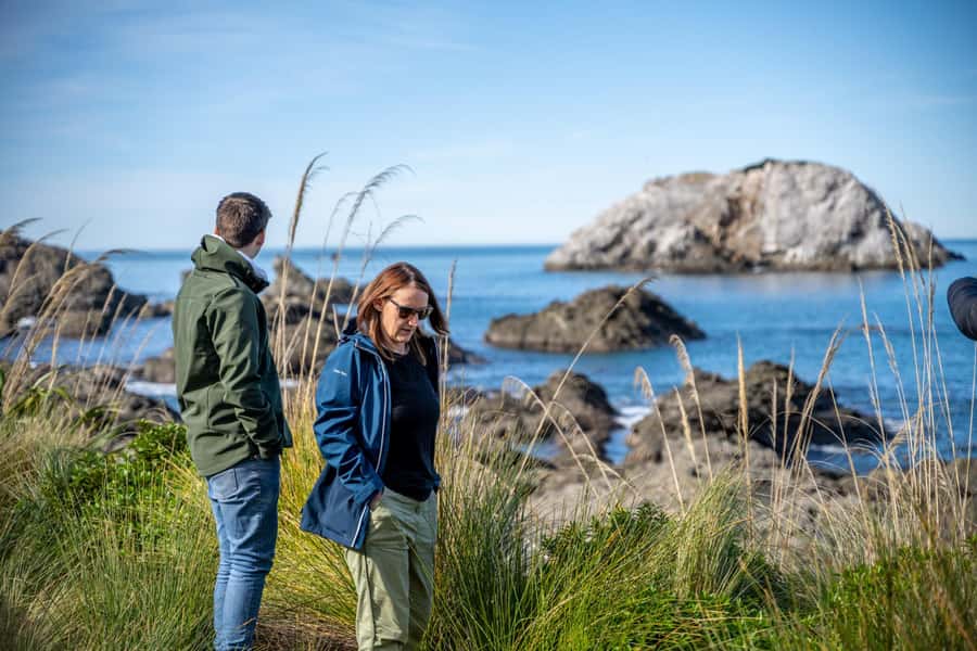 From Christchurch: Kaikōura Day Tour With Dolphin Encounter - Is the $206 price good value?